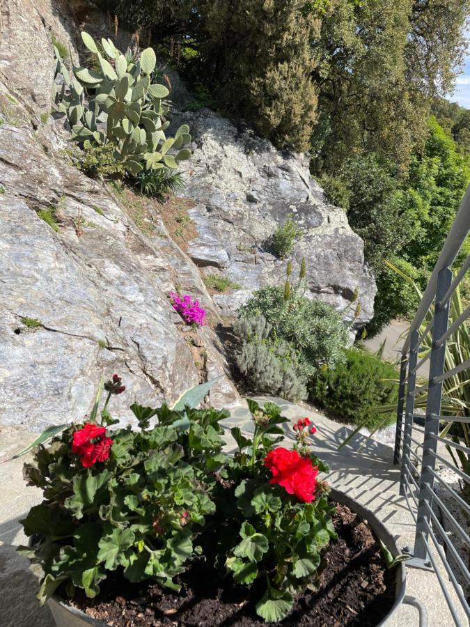Villa Petrera Valle-di-Campoloro 외부 사진
